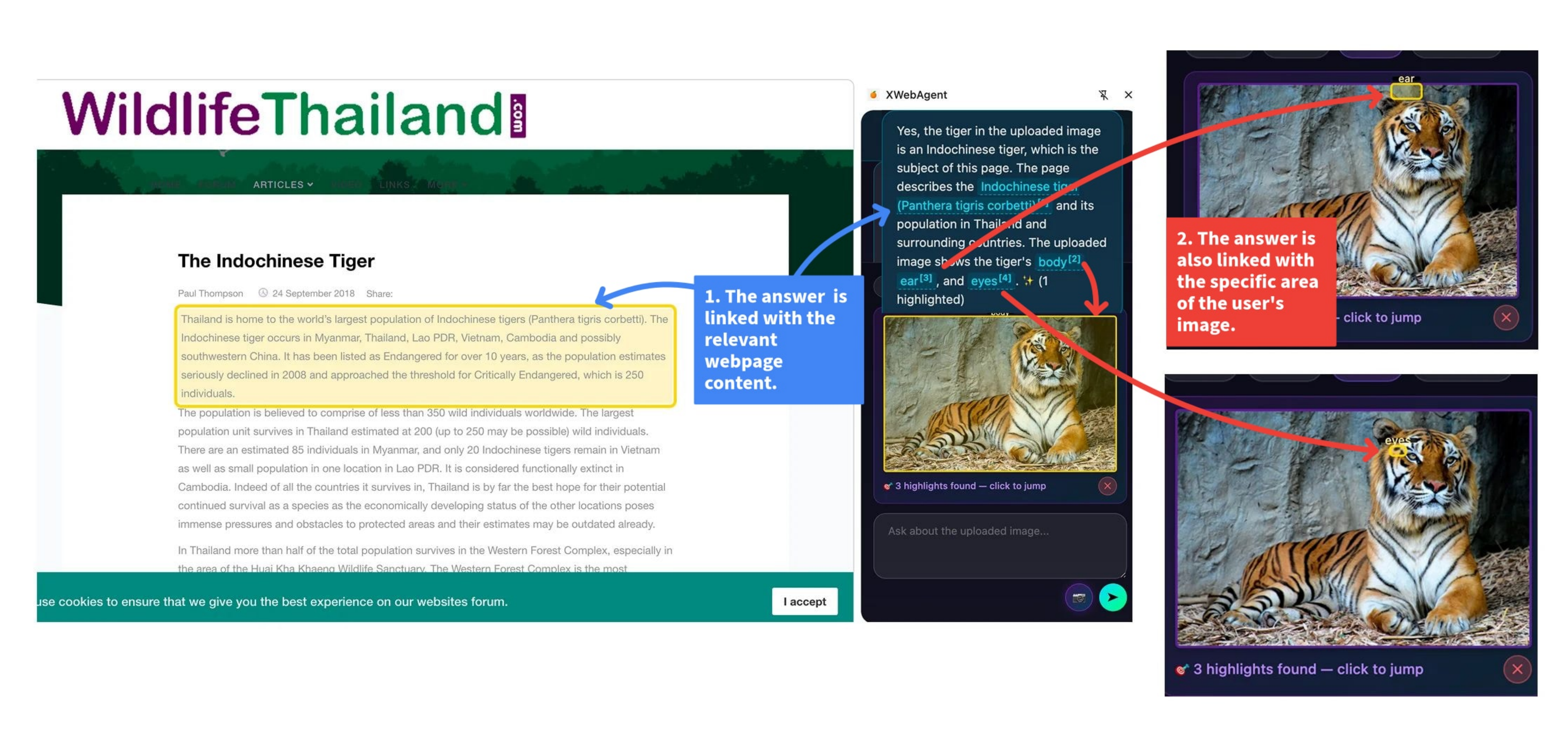Visual Question Answering feature example